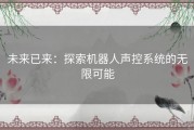 未来已来：探索机器人声控系统的无限可能