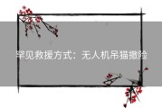 罕见救援方式：无人机吊猫撤险