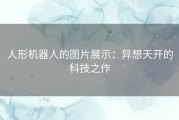 人形机器人的图片展示：异想天开的科技之作