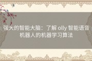 强大的智能大脑：了解 olly 智能语音机器人的机器学习算法