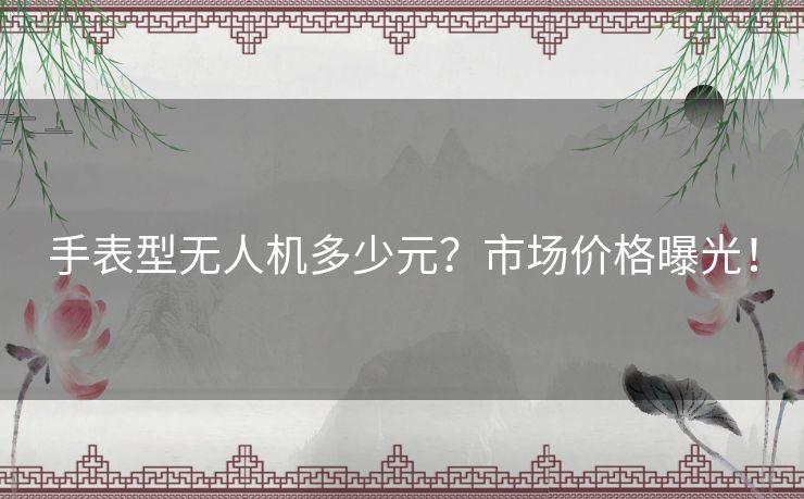 手表型无人机多少元？市场价格曝光！