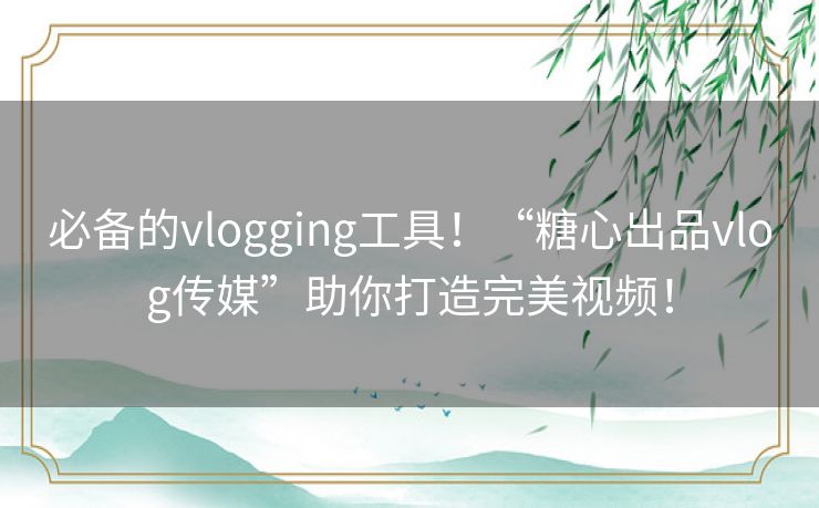 必备的vlogging工具！“糖心出品vlog传媒”助你打造完美视频！