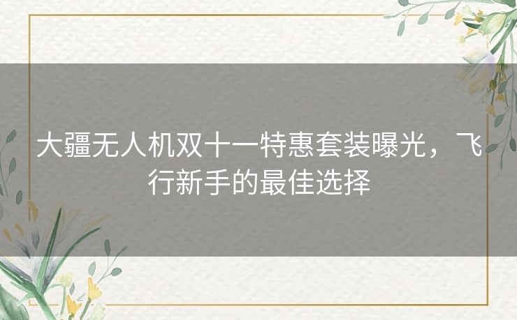 大疆无人机双十一特惠套装曝光，飞行新手的最佳选择