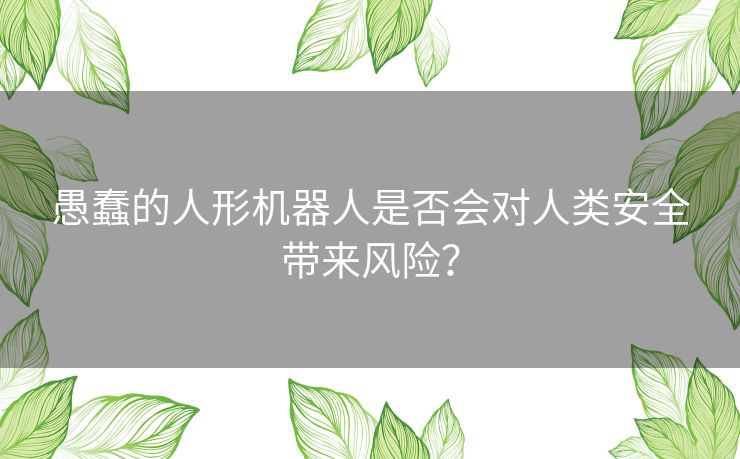 愚蠢的人形机器人是否会对人类安全带来风险？