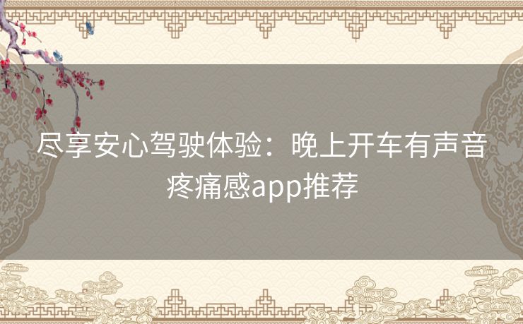 尽享安心驾驶体验：晚上开车有声音疼痛感app推荐