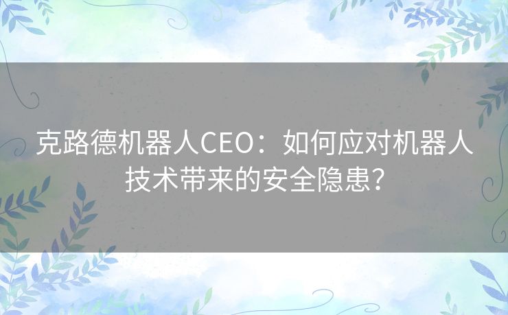 克路德机器人CEO：如何应对机器人技术带来的安全隐患？