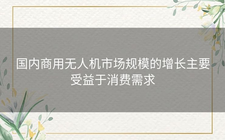 国内商用无人机市场规模的增长主要受益于消费需求