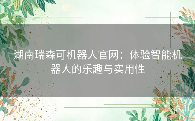 湖南瑞森可机器人官网：体验智能机器人的乐趣与实用性