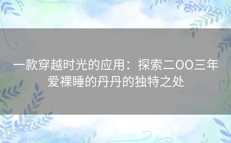 一款穿越时光的应用：探索二OO三年爱裸睡的丹丹的独特之处