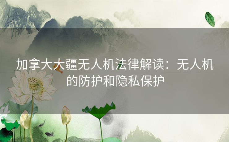 加拿大大疆无人机法律解读：无人机的防护和隐私保护