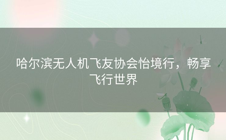 哈尔滨无人机飞友协会怡境行，畅享飞行世界