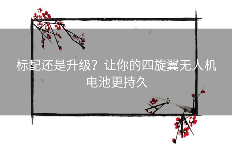 标配还是升级？让你的四旋翼无人机电池更持久