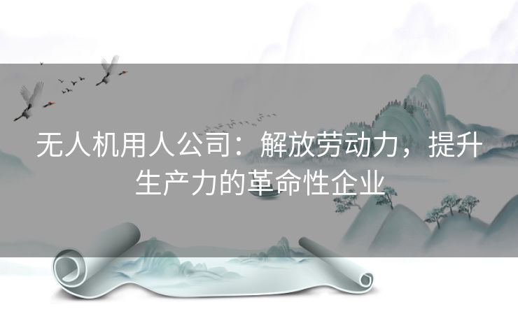 无人机用人公司：解放劳动力，提升生产力的革命性企业