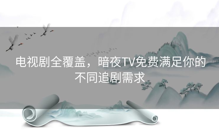 电视剧全覆盖，暗夜TV免费满足你的不同追剧需求