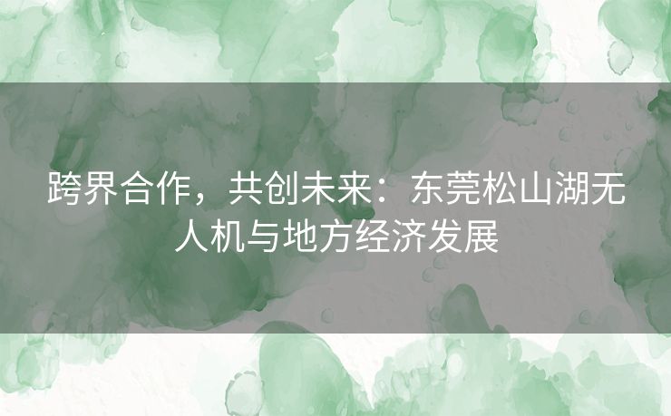 跨界合作，共创未来：东莞松山湖无人机与地方经济发展