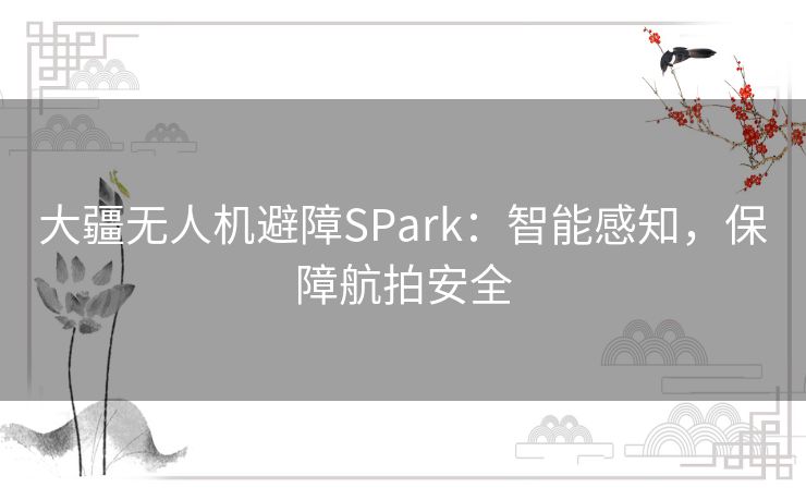 大疆无人机避障SPark：智能感知，保障航拍安全