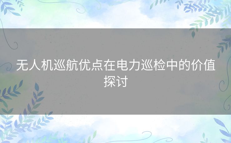 无人机巡航优点在电力巡检中的价值探讨