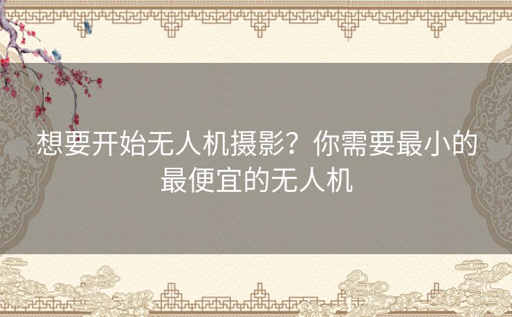 想要开始无人机摄影？你需要最小的最便宜的无人机