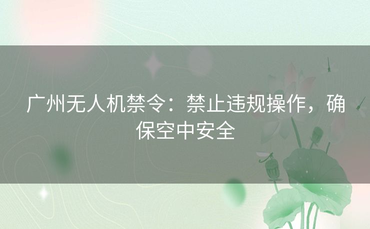 广州无人机禁令：禁止违规操作，确保空中安全