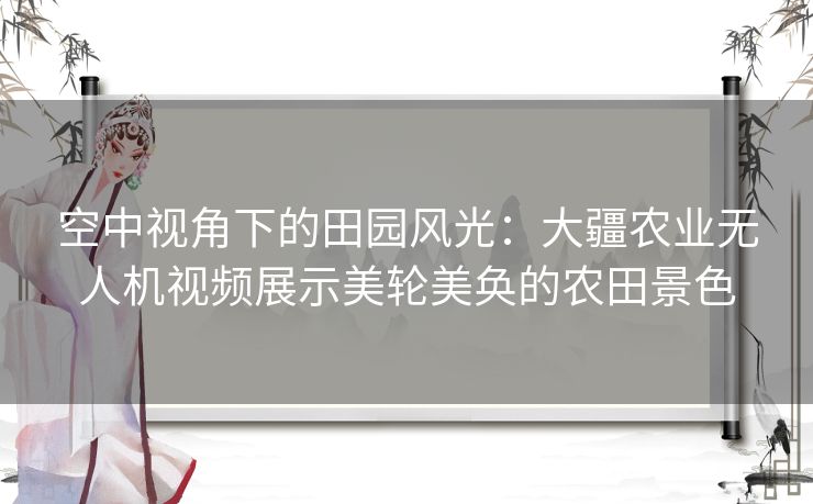 空中视角下的田园风光：大疆农业无人机视频展示美轮美奂的农田景色