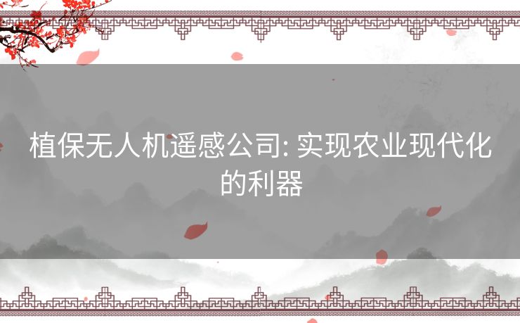 植保无人机遥感公司: 实现农业现代化的利器