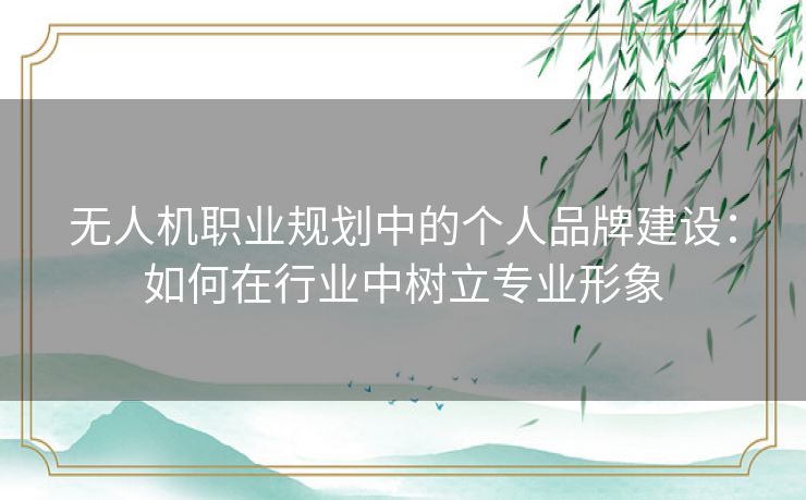 无人机职业规划中的个人品牌建设：如何在行业中树立专业形象