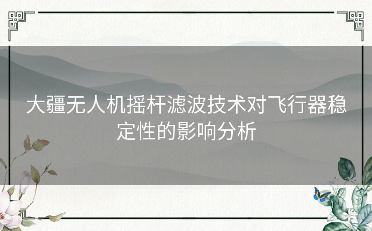 大疆无人机摇杆滤波技术对飞行器稳定性的影响分析