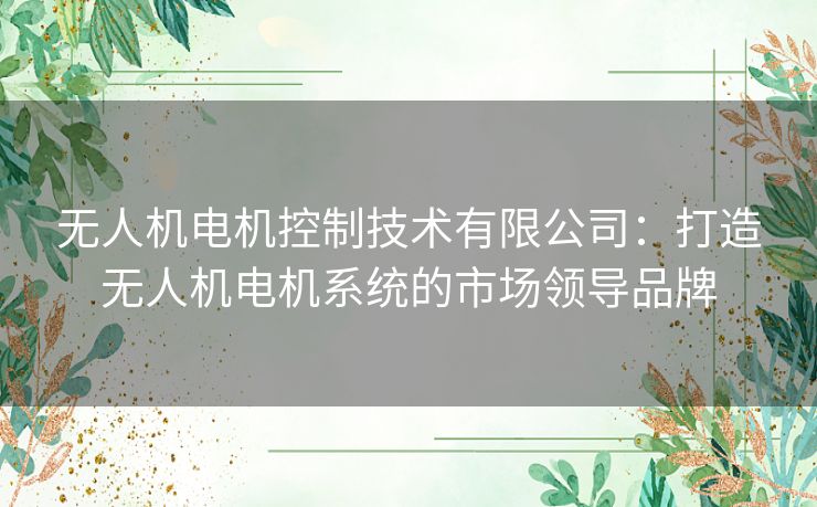 无人机电机控制技术有限公司：打造无人机电机系统的市场领导品牌