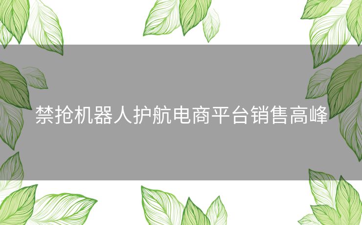 禁抢机器人护航电商平台销售高峰