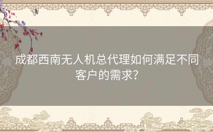 成都西南无人机总代理如何满足不同客户的需求？