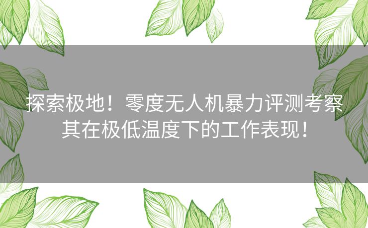 探索极地！零度无人机暴力评测考察其在极低温度下的工作表现！