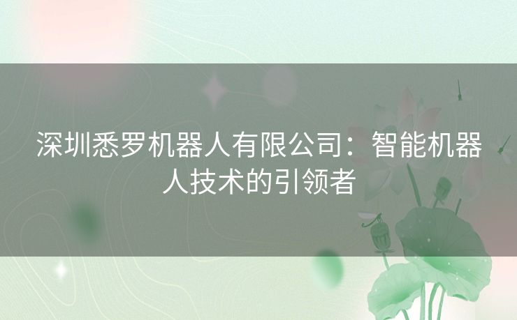 深圳悉罗机器人有限公司：智能机器人技术的引领者