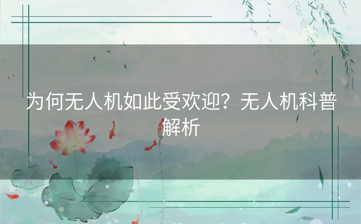 为何无人机如此受欢迎？无人机科普解析