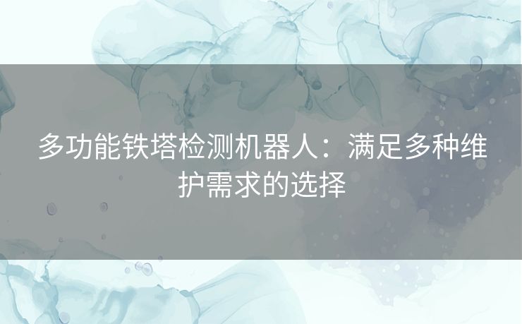 多功能铁塔检测机器人：满足多种维护需求的选择