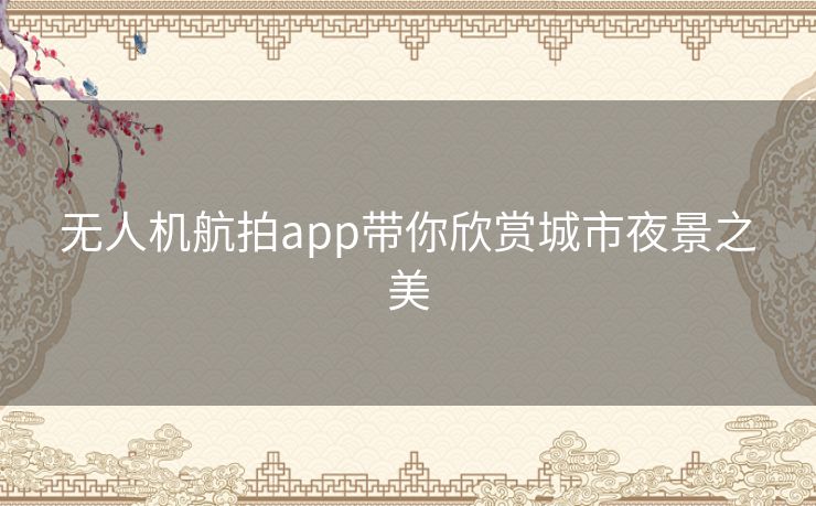 无人机航拍app带你欣赏城市夜景之美