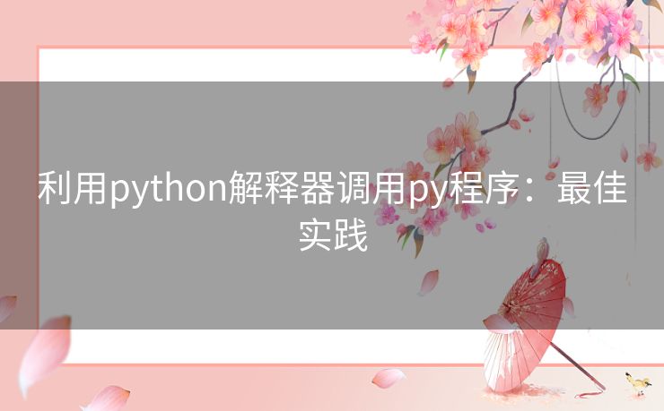 利用python解释器调用py程序：最佳实践