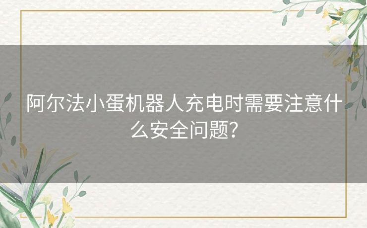 阿尔法小蛋机器人充电时需要注意什么安全问题？