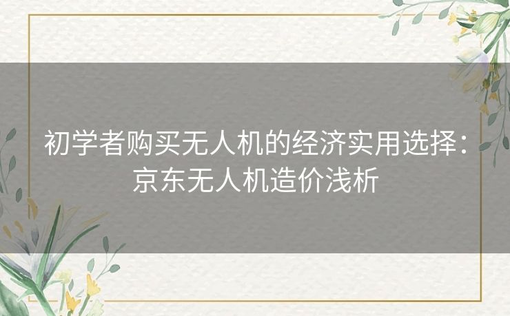 初学者购买无人机的经济实用选择：京东无人机造价浅析