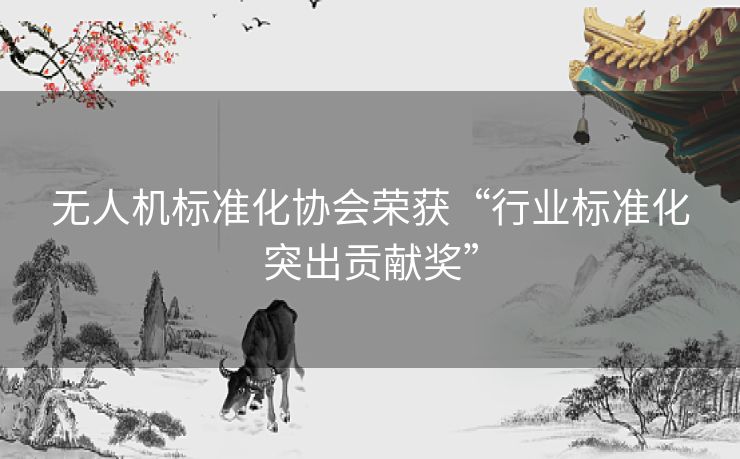 无人机标准化协会荣获“行业标准化突出贡献奖”