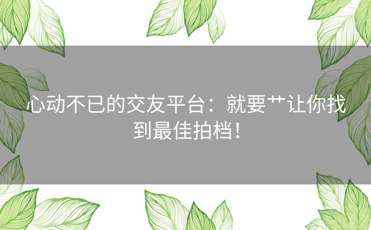 心动不已的交友平台：就要艹让你找到最佳拍档！