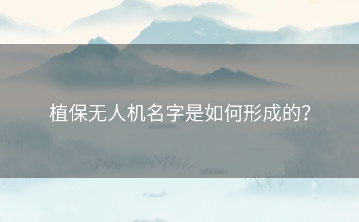 植保无人机名字是如何形成的？