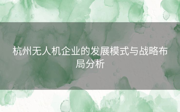 杭州无人机企业的发展模式与战略布局分析