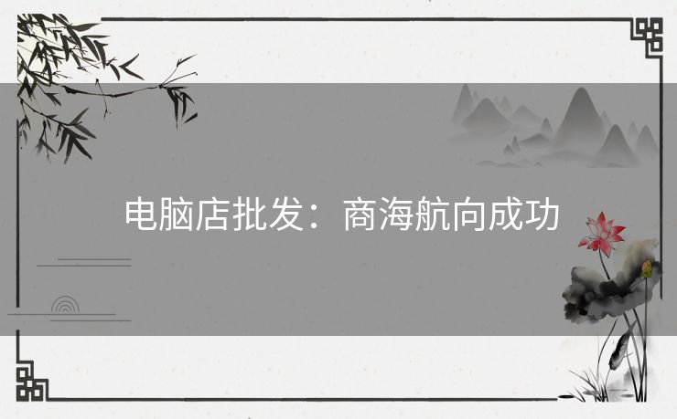 电脑店批发：商海航向成功