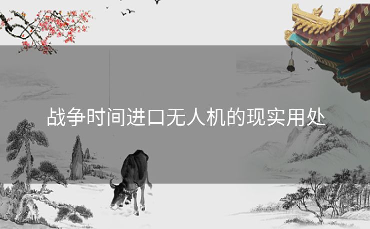 战争时间进口无人机的现实用处