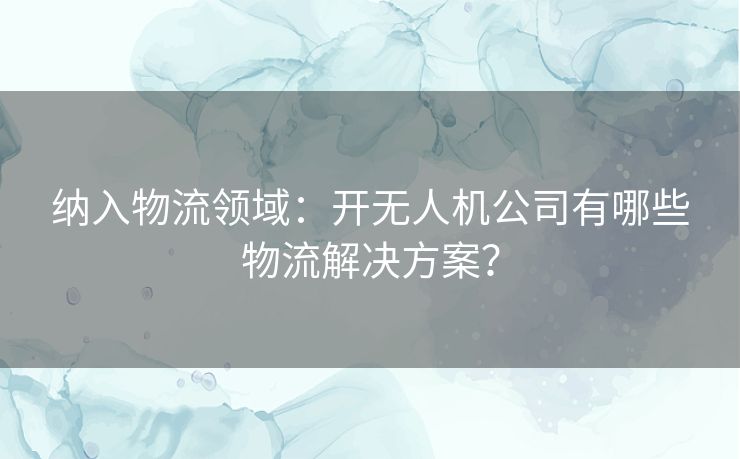 纳入物流领域：开无人机公司有哪些物流解决方案？