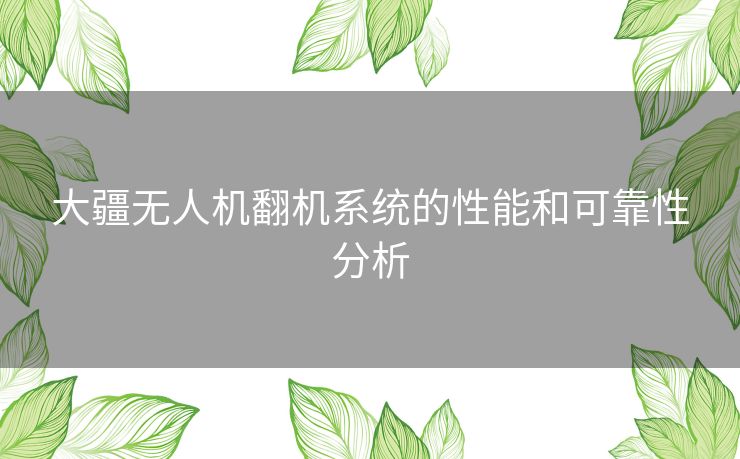 大疆无人机翻机系统的性能和可靠性分析