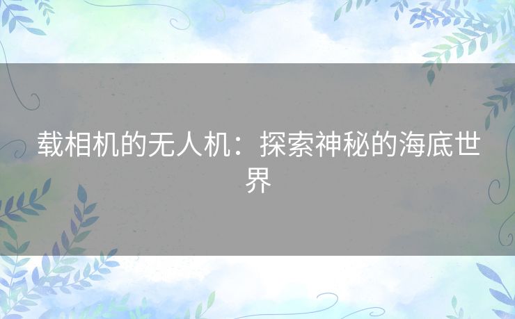 载相机的无人机：探索神秘的海底世界