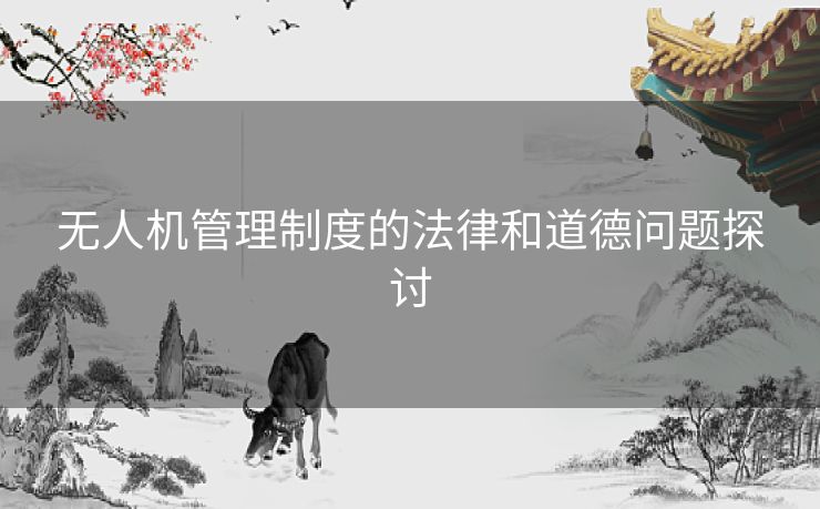 无人机管理制度的法律和道德问题探讨