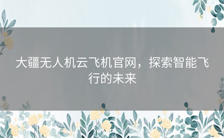 大疆无人机云飞机官网，探索智能飞行的未来