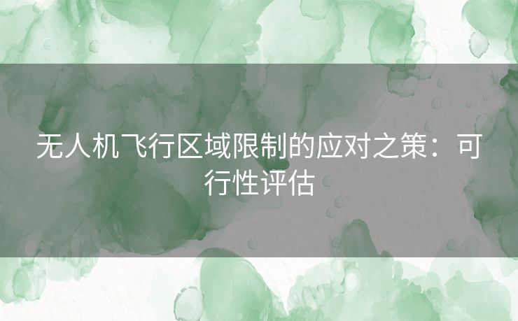 无人机飞行区域限制的应对之策：可行性评估